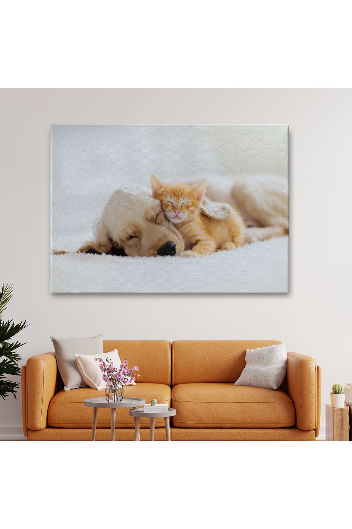 Golden Köpek İle Uyuyan Yavru Kedi Dekoratif Kanvas Tablo 1176