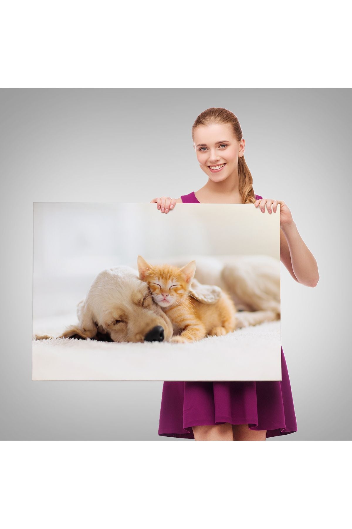 Golden Köpek İle Uyuyan Yavru Kedi Dekoratif Kanvas Tablo 1176