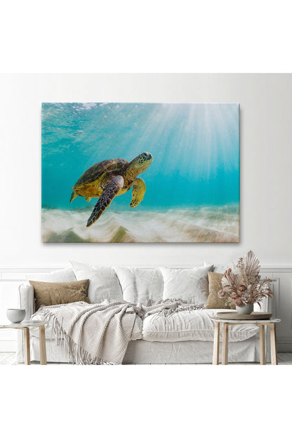 Deniz Kaplunbağası Dekoratif Kanvas Duvar Tablosu-3662