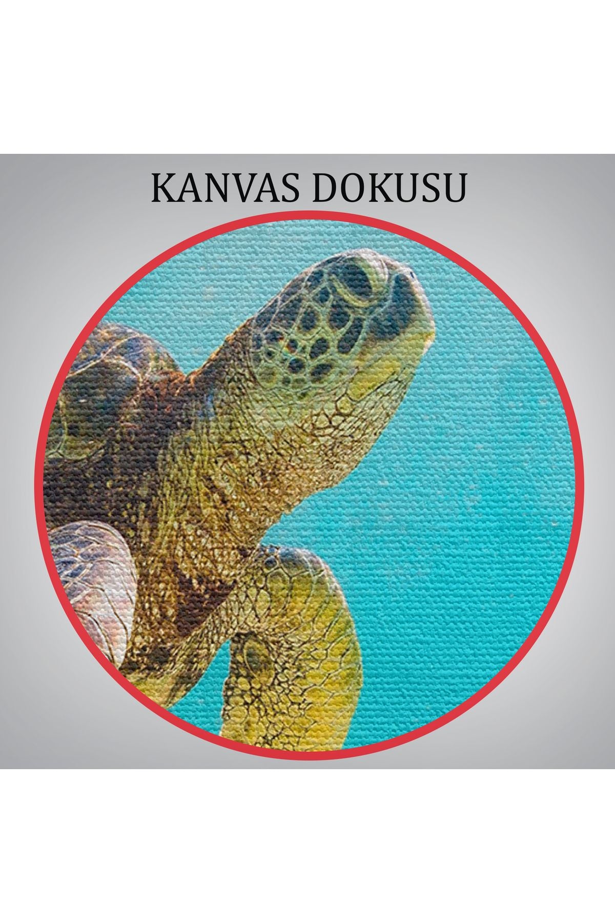 Deniz Kaplunbağası Dekoratif Kanvas Duvar Tablosu-3662
