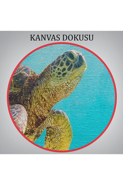 Deniz Kaplunbağası Dekoratif Kanvas Duvar Tablosu-3662
