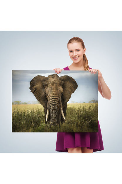 Fil Dekoratif Kanvas Tablo 1121