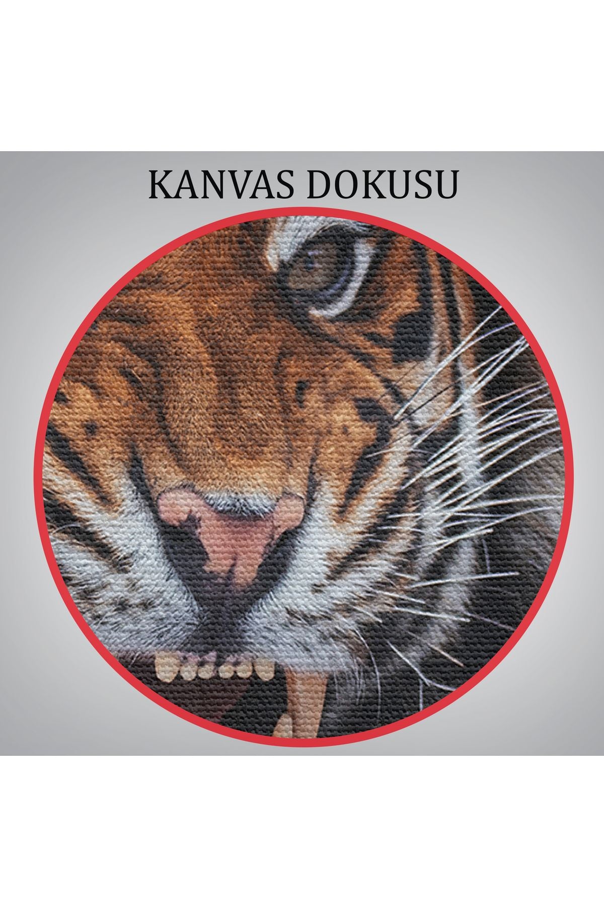 Kaplan Dekoratif Kanvas Tablo 1156