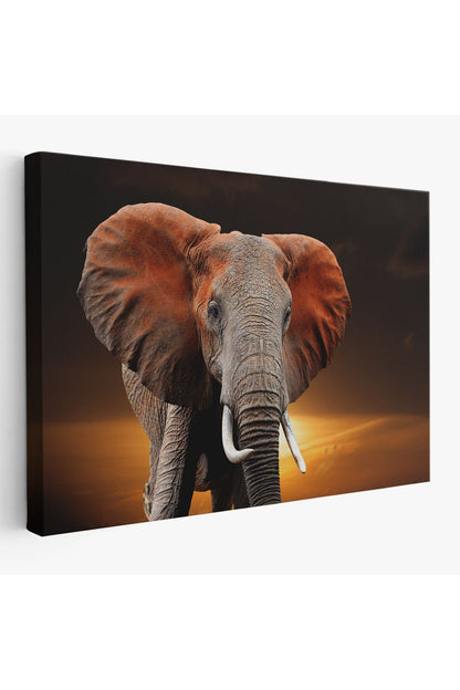 Fil Dekoratif Kanvas Tablo 1167