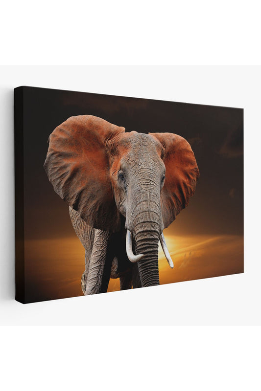 Fil Dekoratif Kanvas Tablo 1167