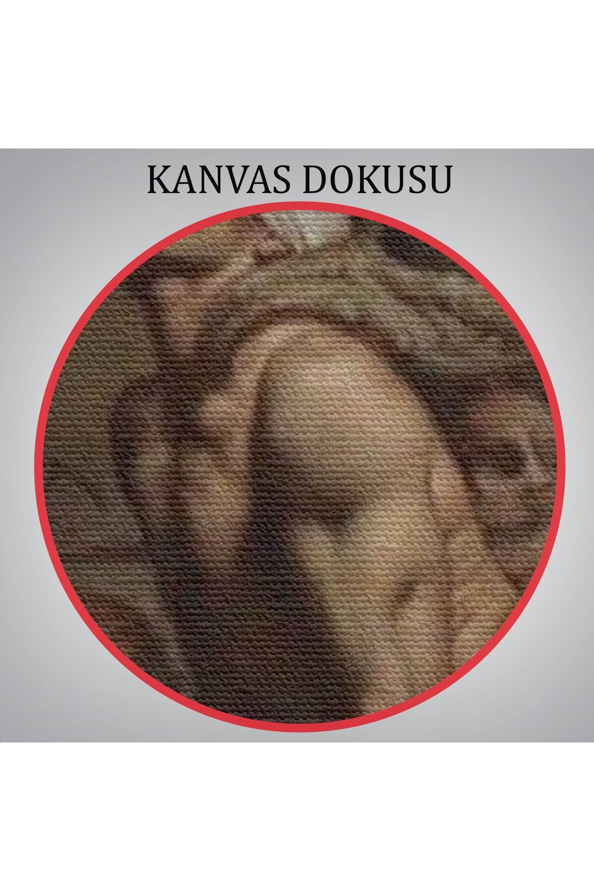 Roberto Ferri'in Kırık Zevkler I?simli Eseri Duvar Tablosu-6182