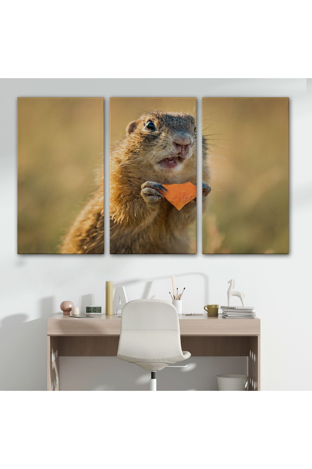 Şaşkın Sincap Dekoratif Kanvas Tablo 1158