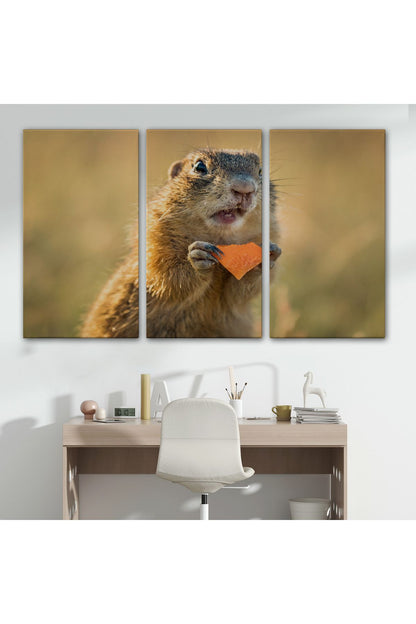 Şaşkın Sincap Dekoratif Kanvas Tablo 1158