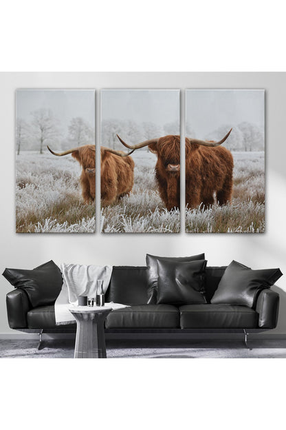 İskoçya Sığırları Dekoratif Kanvas Tablo 1150