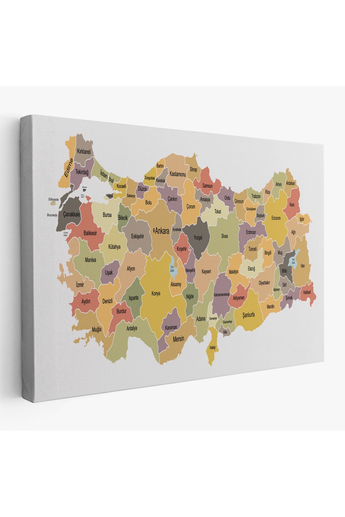 Türkiye Haritası Kanvas Tablo Eğitici ve Öretici Dekoratif Tablo Tablo 3126