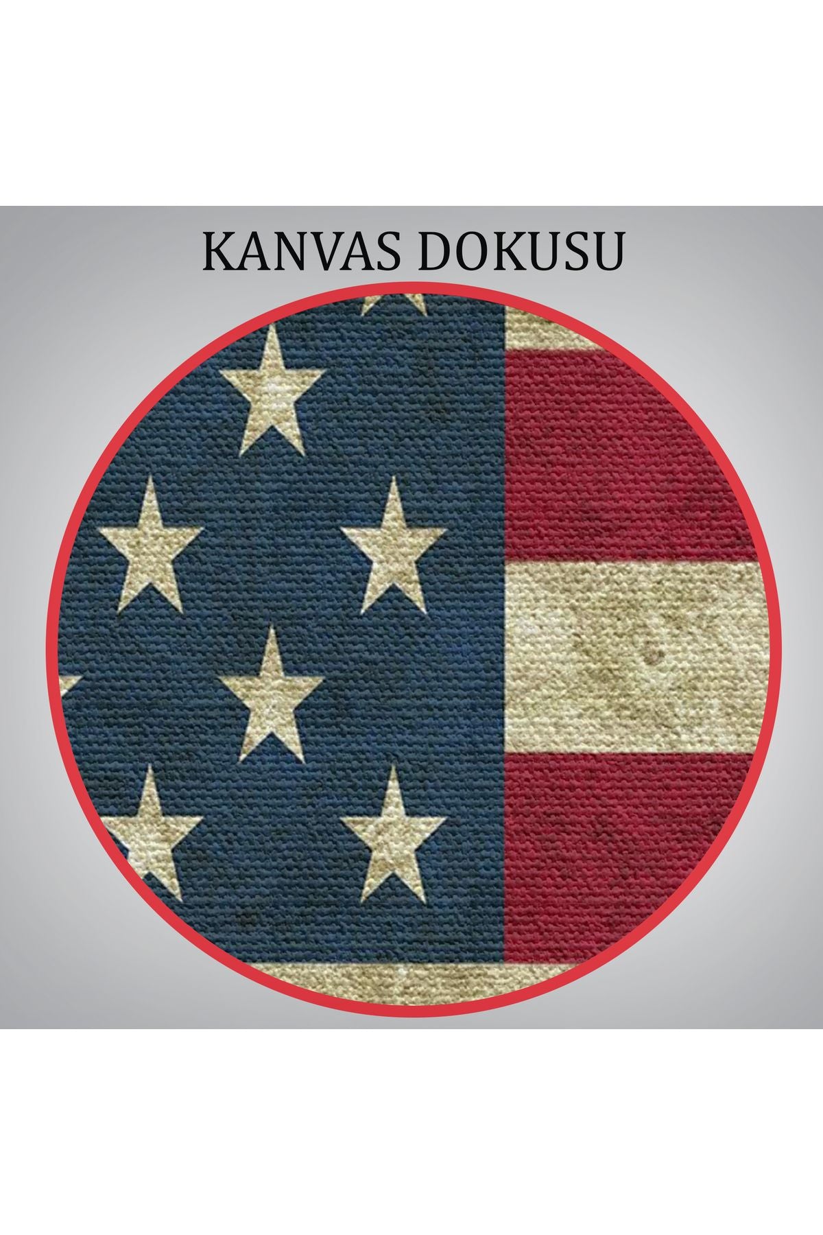Amerika Birleşik Devletleri Bayrağı Rustik Kanvas Tablo-5412