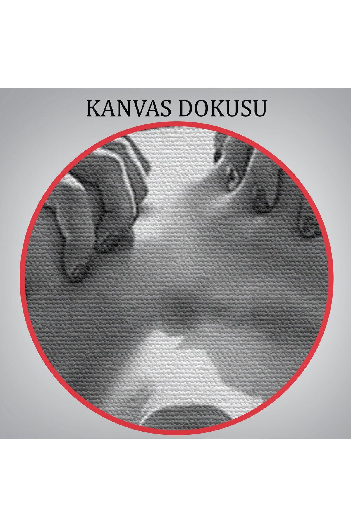 Çığlık atan Çıplak Güzel Kadın Kanvas Tablo, Siyah Beyaz Tablo-5333B