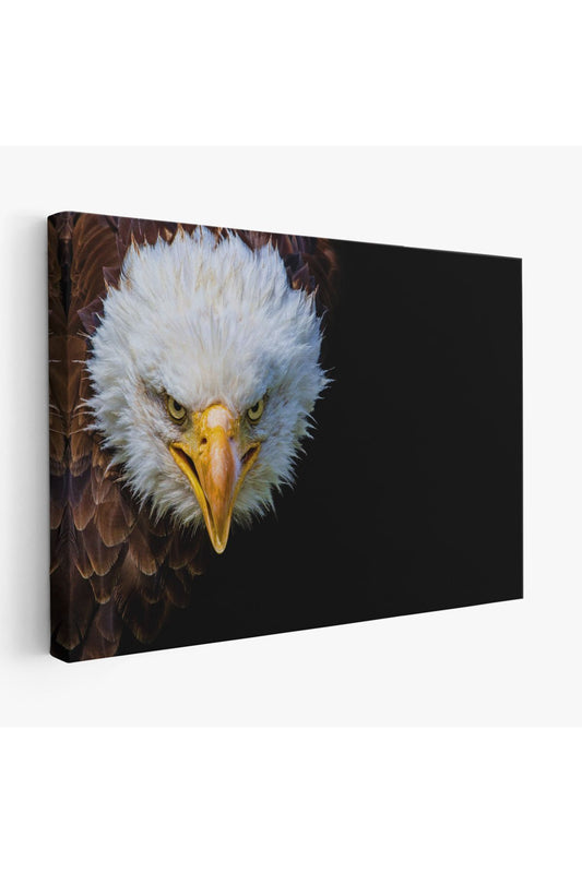Kartal Dekoratif Kanvas Tablo 1132