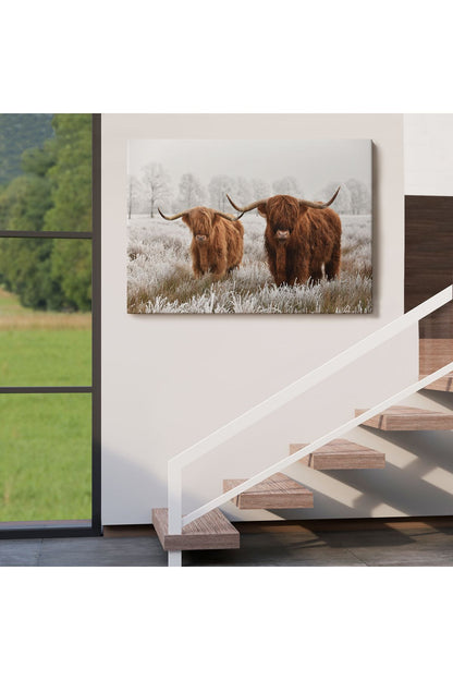 İskoçya Sığırları Dekoratif Kanvas Tablo 1150