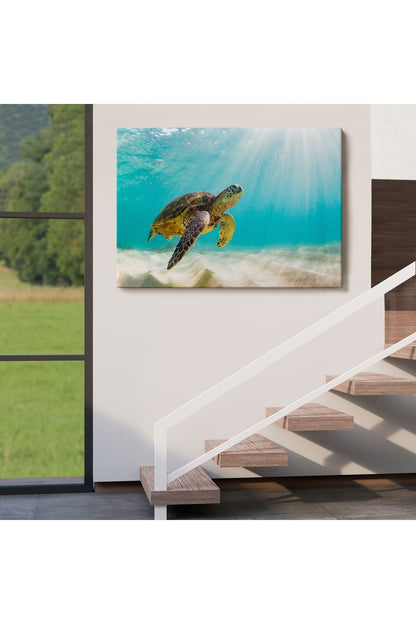 Caretta Caretta Dekoratif Kanvas Tablo 1174