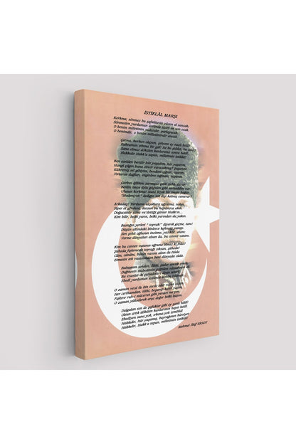 DB İstiklal Marşı Dekoratif Duvar Tablosu-6466