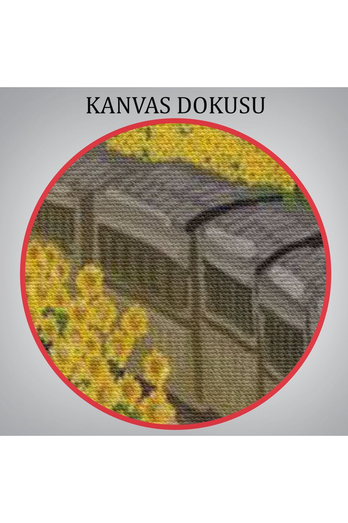 Vincent van Gogh'un Renkli Tasviri Duvar Tablosu-6224