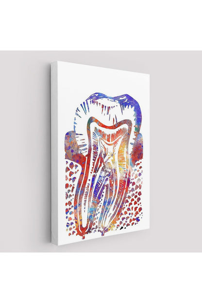 Suluboya Diş Anatomisi Tablosu-6020