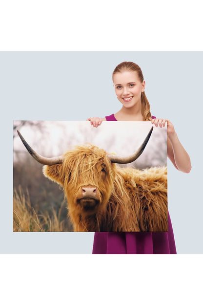 Özel Tasarım, Dekortif BaskıAmerikan Yayla İneği Kanvas Tablo-5156