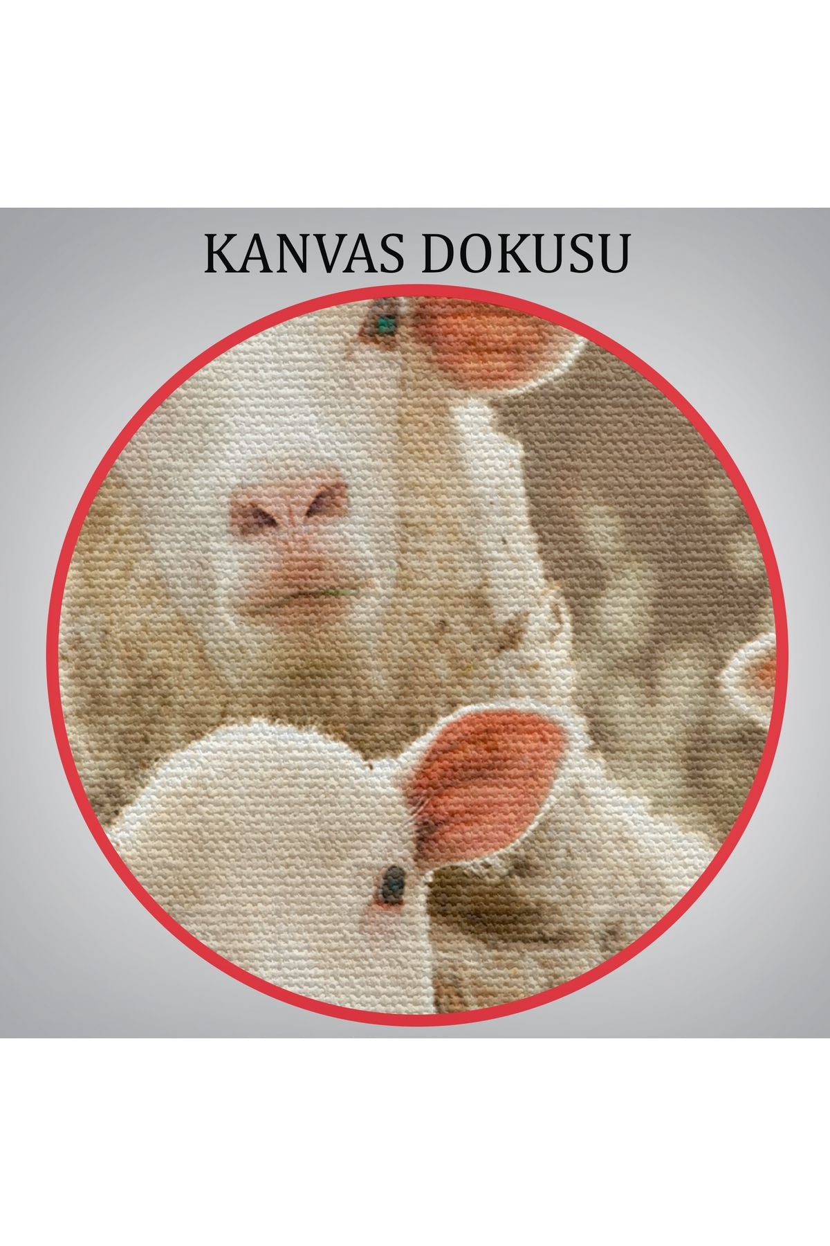 Dekoratif Duvar Tablosu- Koyun Kuzu, Hayvan Temalı 1119