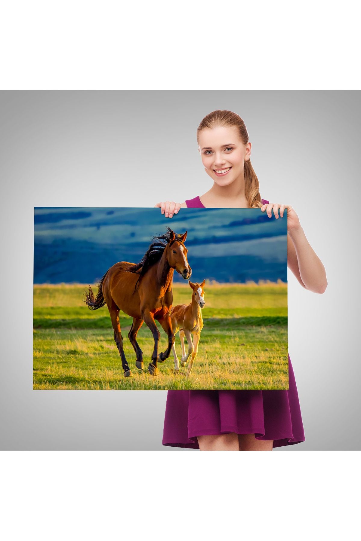 At ve Tay Manzaralı Dekoratif Kanvas Tablo 1173