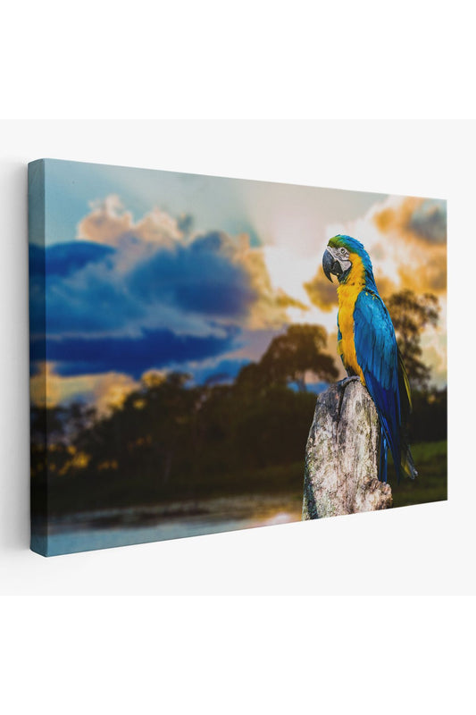 Papağan Dekoratif Kanvas Tablo 1123