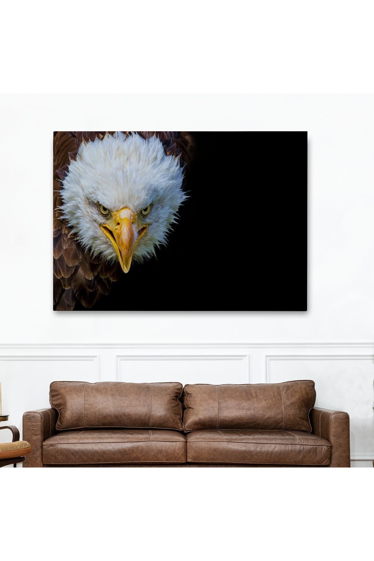 Kartal Dekoratif Kanvas Tablo 1132