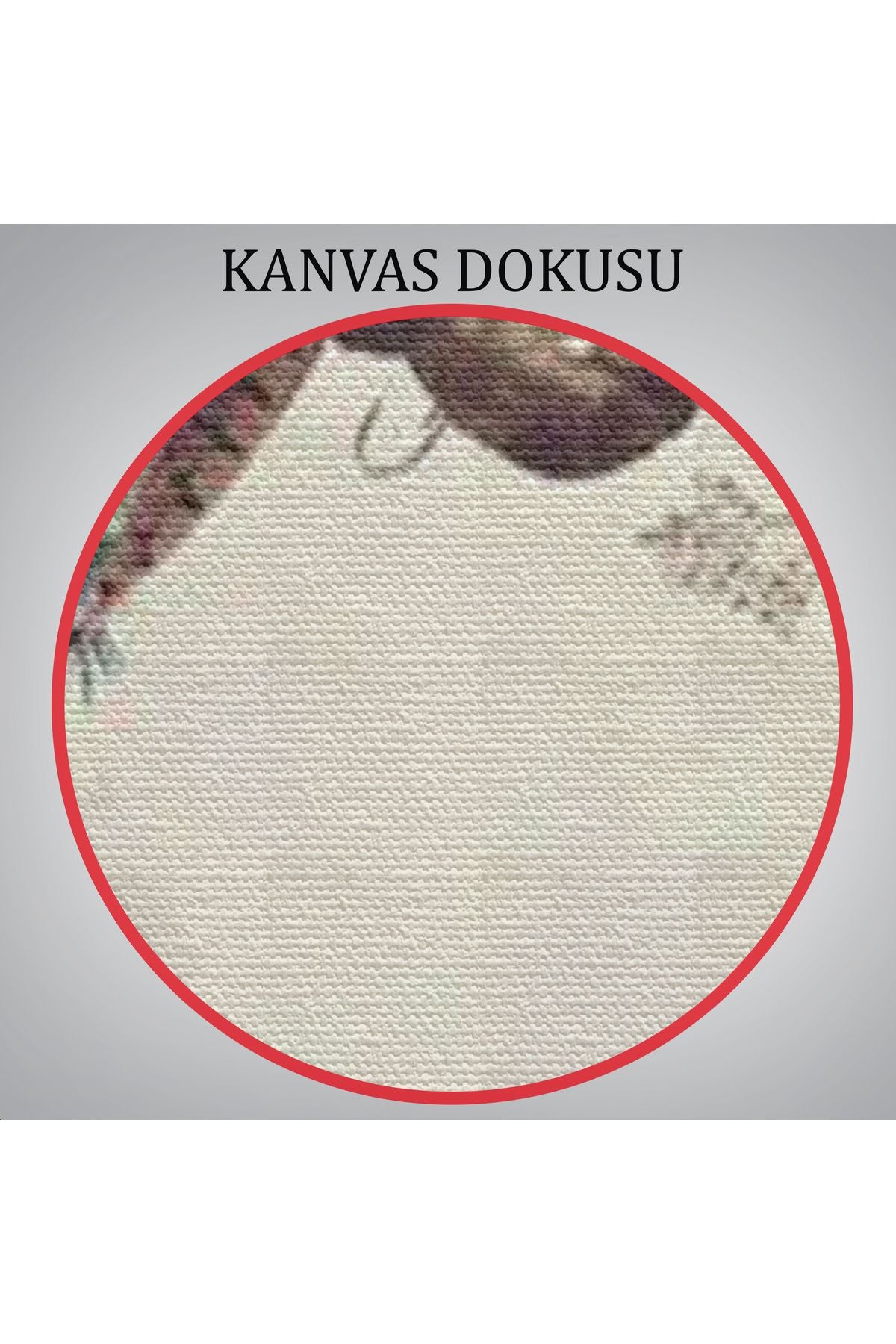 Daldaki Tavuz Kuşu Dekoratif Tablo-6494