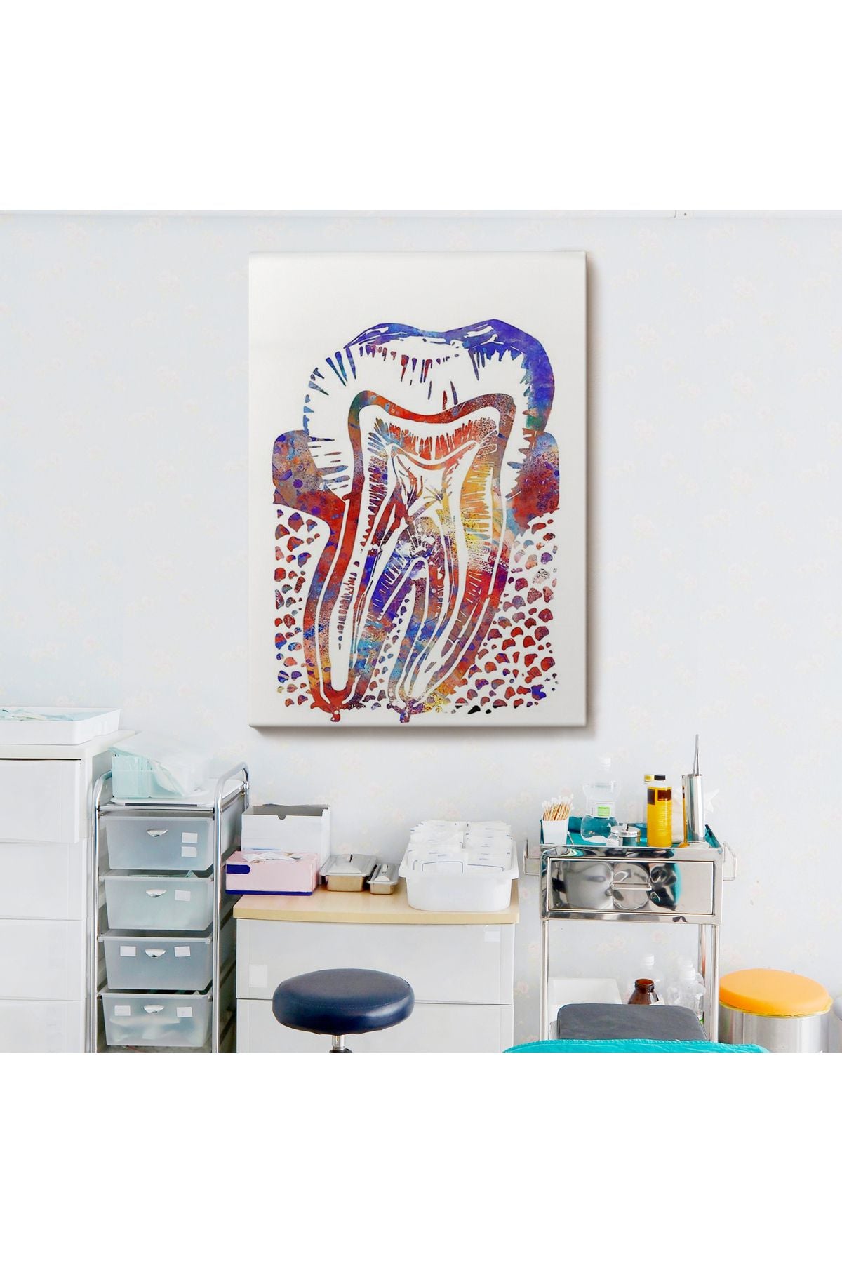 Suluboya Diş Anatomisi Tablosu-6020