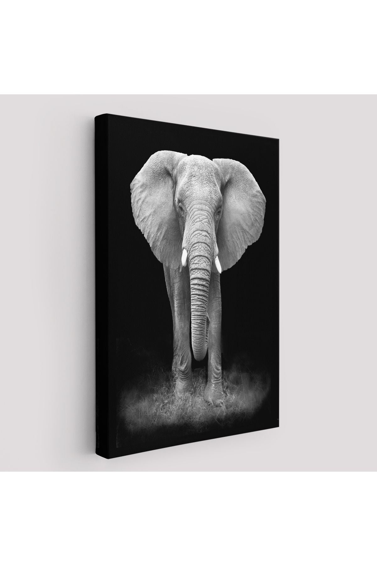 Dev Fil Tablosu-5958