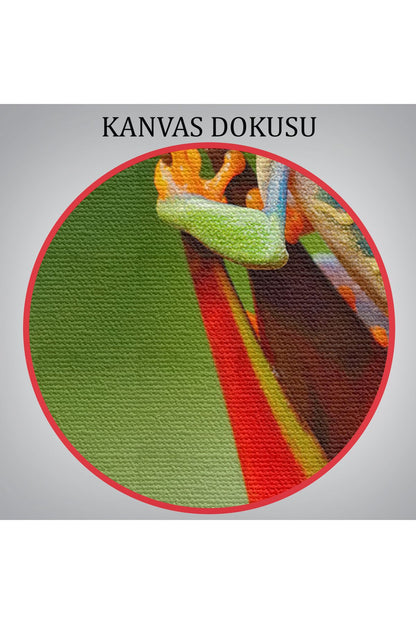 arg001 seri Renkli Kurbağa  Dekoratif Kanvas Tablo 1136