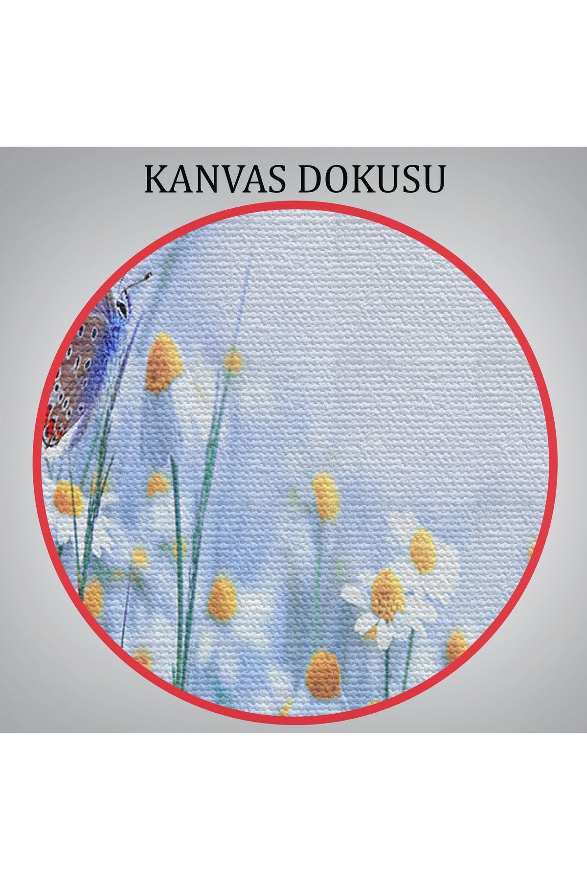 Özel Tasarım, Dekortif  BaskıKır Çiçekleri Ve Papatyalar Dekoratif Kanvas Tablo-3653