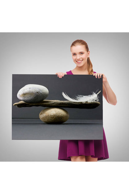 Taş ve Tüy Dengesi Tuval Duvar Sanatı, Tuval Baskı Ev Dekorasyon, Ofis Dekorasyon-5375