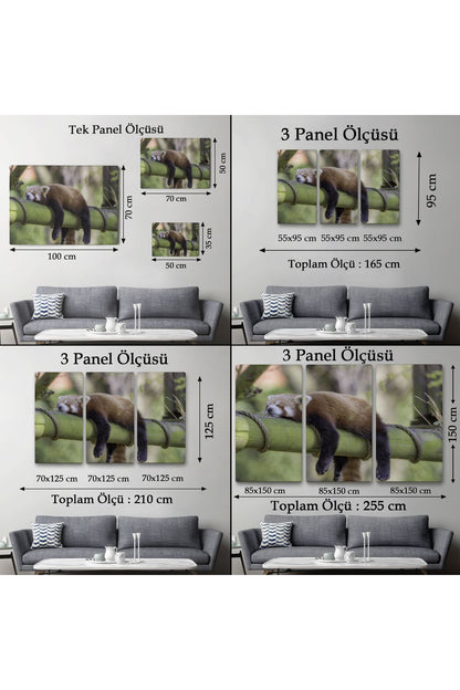 Kırmızı Panda Dekoratif Kanvas Tablo 1140