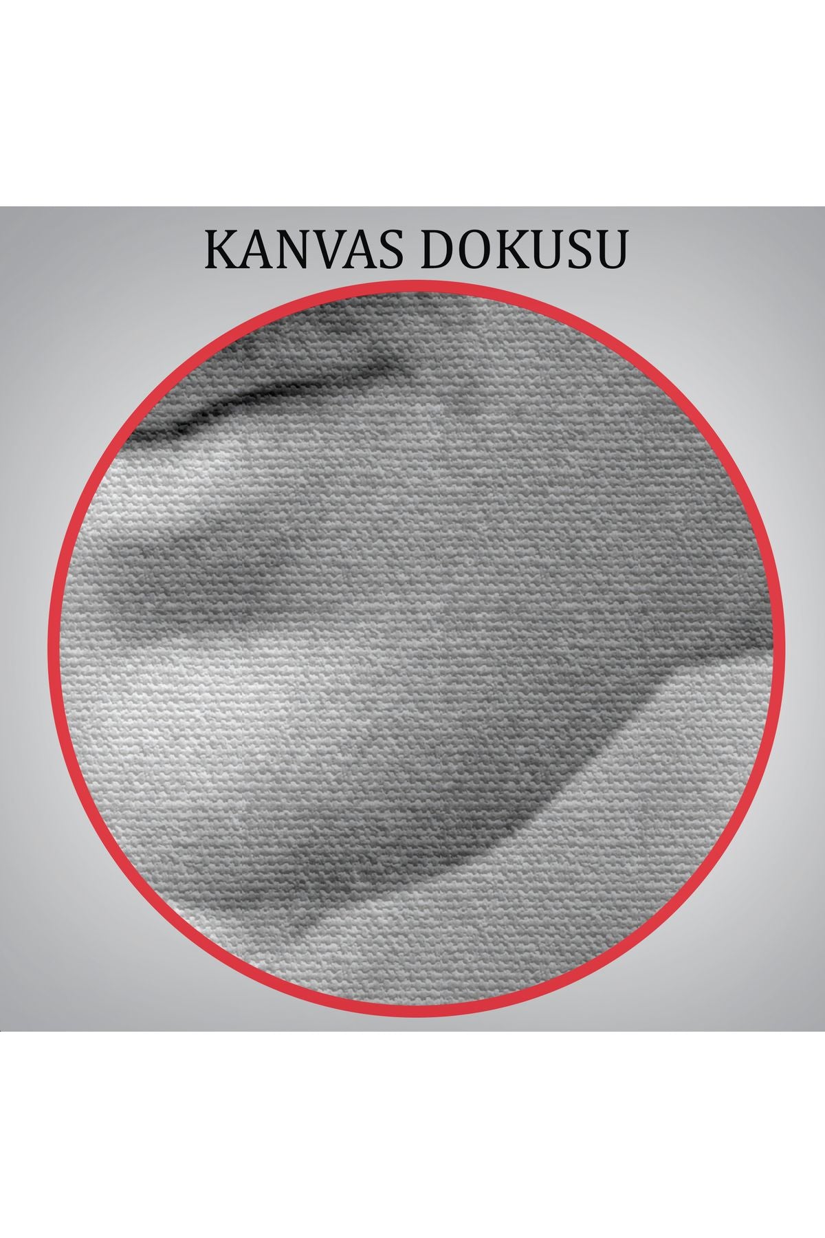 Nikola Tesla Dekoratif Duvar Tablosu-6172