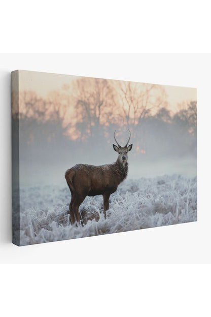 Kanvas Tablo, Duvar Dekoru, Geyik, Hayvan Temalı 1166 BUNGKNV
