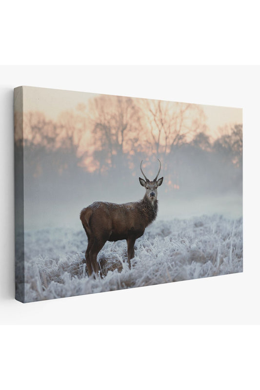 Kanvas Tablo, Duvar Dekoru, Geyik, Hayvan Temalı 1166 BUNGKNV