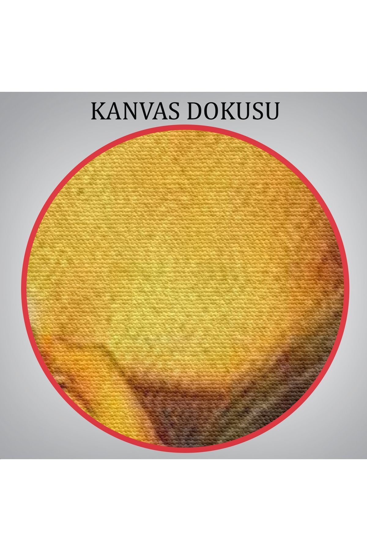 Bira İçme Mona Lisa Kanvas Tablo, Olağandışı Mona Lisa Kanvas Tablo-5219