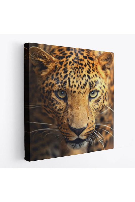 Leopar Dekoratif Kanvas Tablo-5811