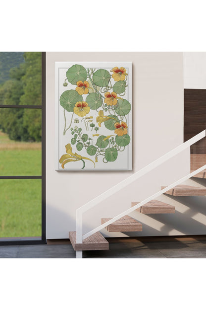arg001 seri Nasturtium Çiçeği Kanvas Tablo-5206