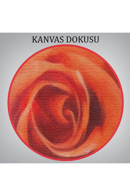 Gül Başlı Kadın Modern Sanat Tablosu-5998