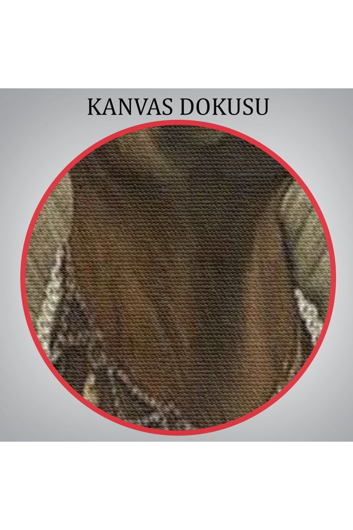 Ortaçağ Soylu Dana Duvar Tablosu-6045