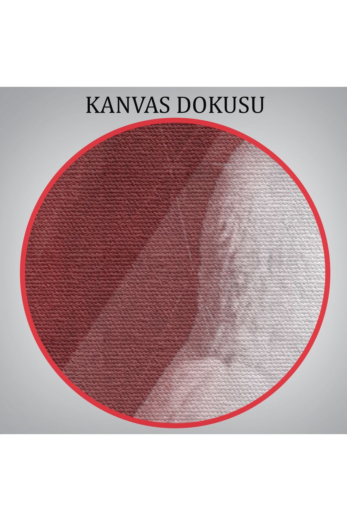 Savaş Durumunda Camı Kır Güvercin Kanvas Tablo-5258