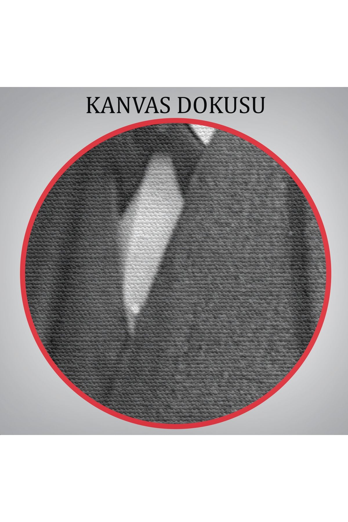 Sigmund Freud Elinde Puro ile Siyah Beyaz Fotoğrafı Kanvas Tablo-5238