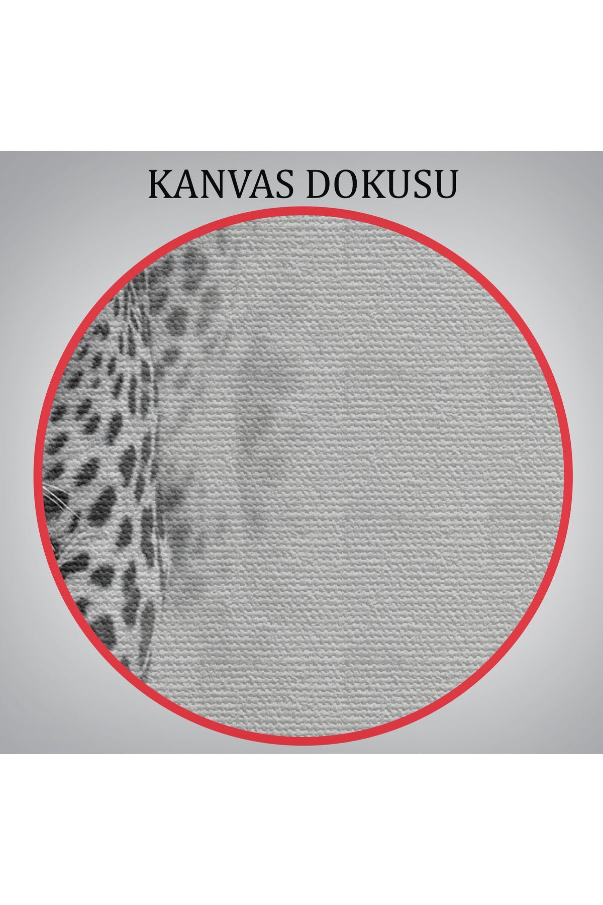 Leopar Dekoratif Kanvas Tablo 1154