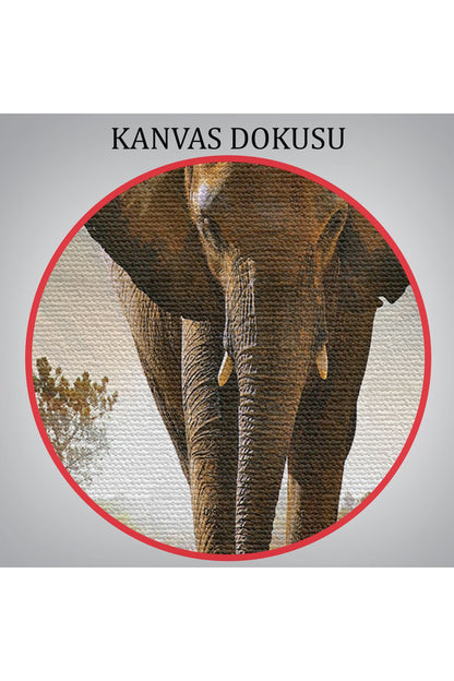 Fil Dekoratif Kanvas Tablo 1118