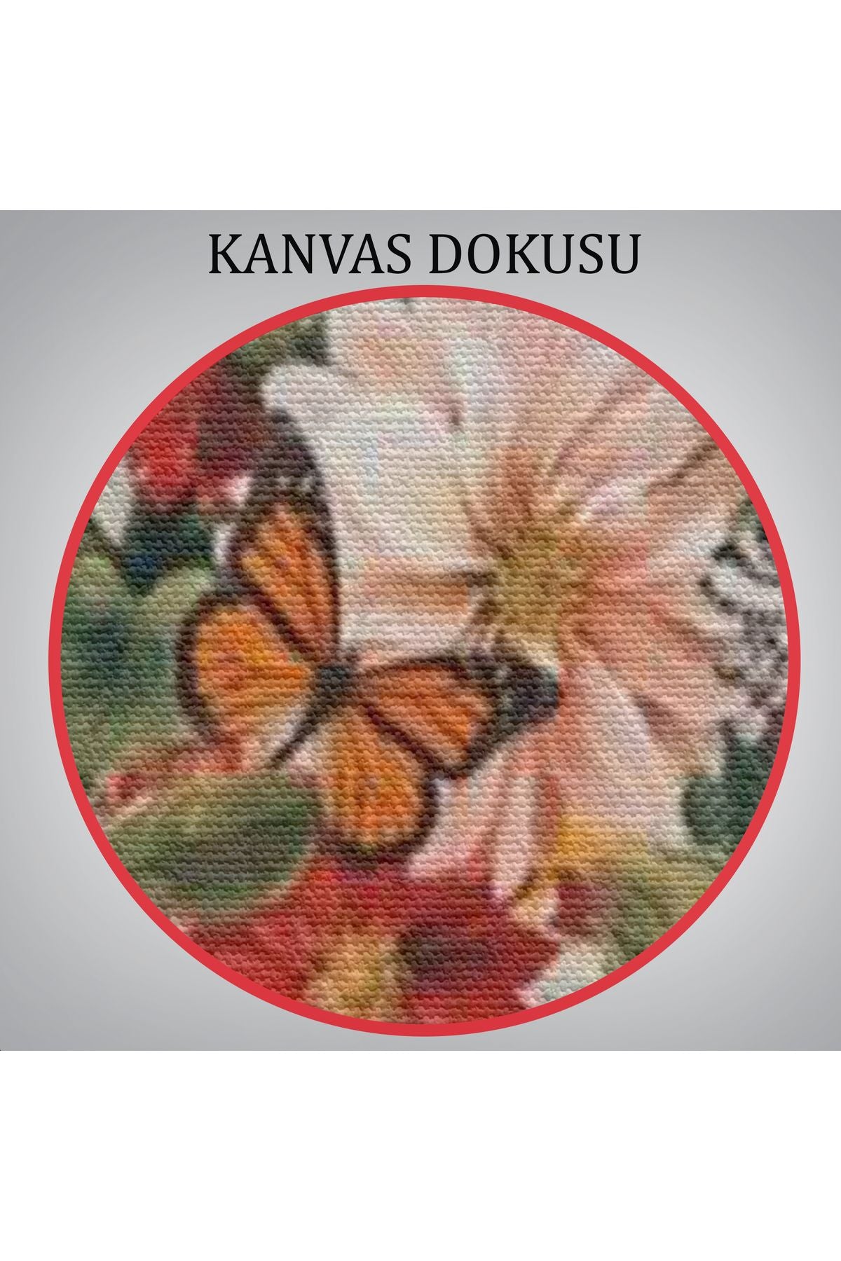 Soyunan Kadın Renkli Kelebekler ve Çiçekler Detaylı Tablo-6060