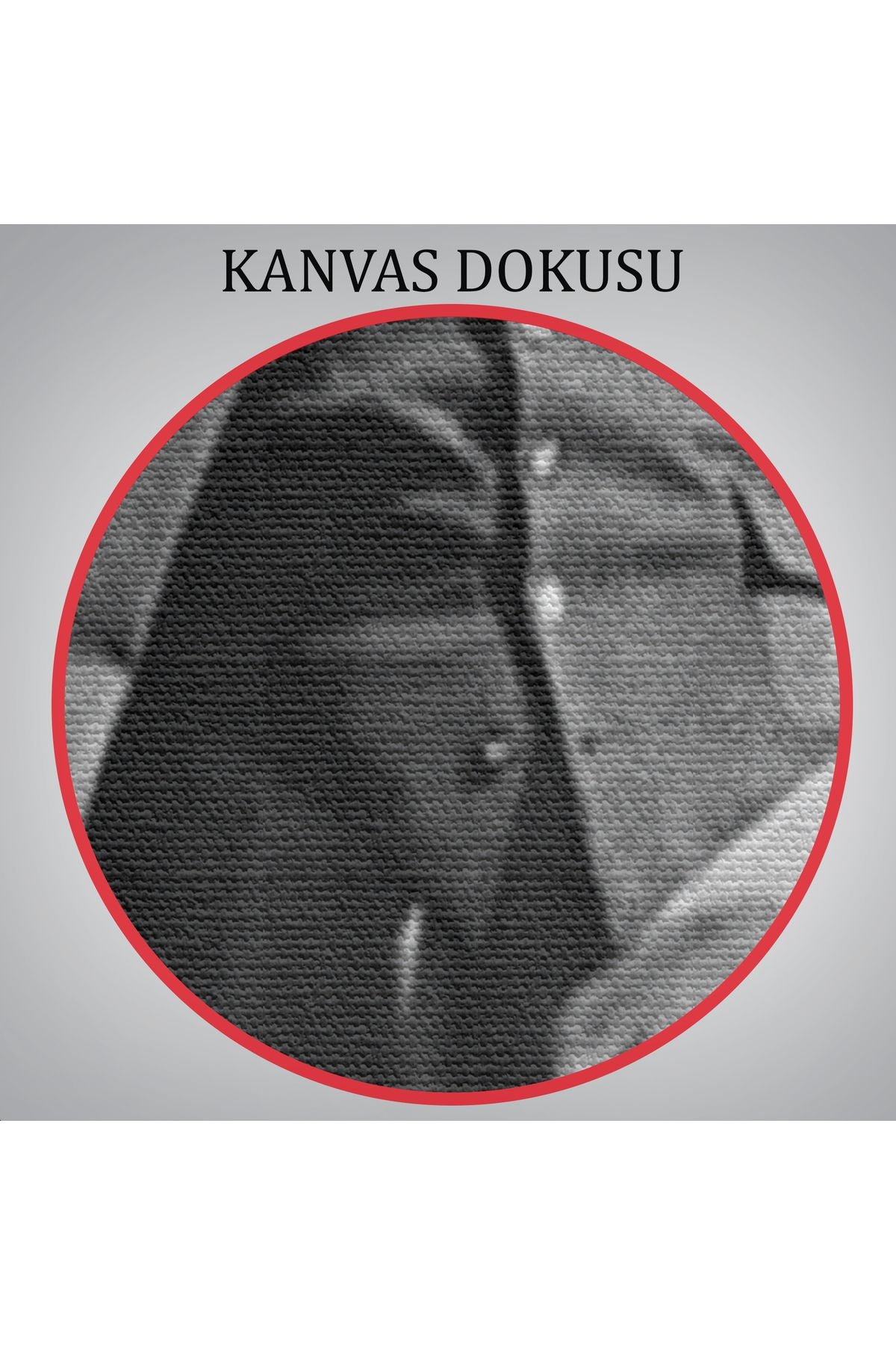 Atatürk Portre Tablosu Mustafa Kemal Atatürk Dikdörtgen Dekoratif Kanvas Tablo-FC-127